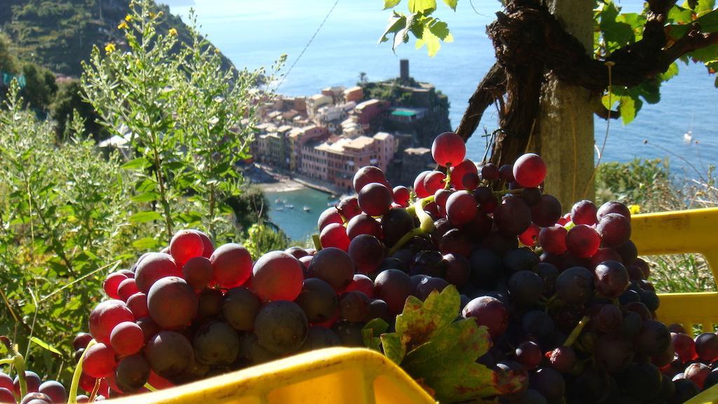 Casa Vacanze Zia Maria Apartment Vernazza Cameră foto